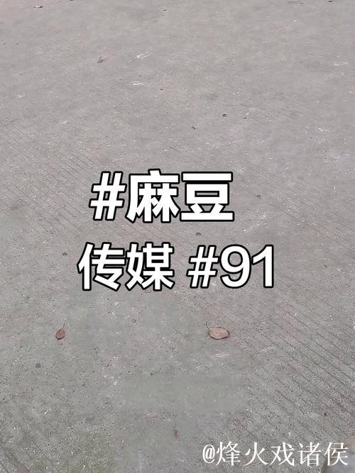 国产麻豆成人传媒免费观看